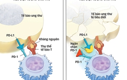 Ý nghĩa thật cho bệnh nhân ung thư