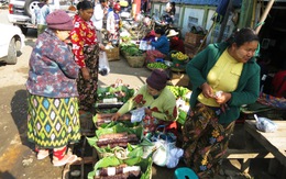 Gặp sắc tím Myitkyina, thương bánh giầy Việt