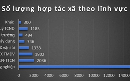 Rượu mới, nhưng bình chưa mới