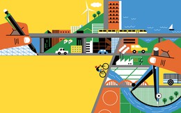 Dịch bệnh và rủi ro của đô thị