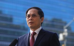 Miệt vườn đón Tết