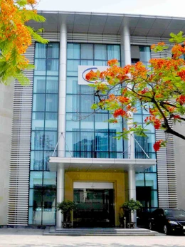 Doanh nghiệp khai thác vàng lớn nhất Việt Nam đối diện nguy cơ rời sàn chứng khoán