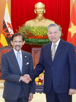Tổng Bí thư Tô Lâm tiếp Quốc vương Brunei