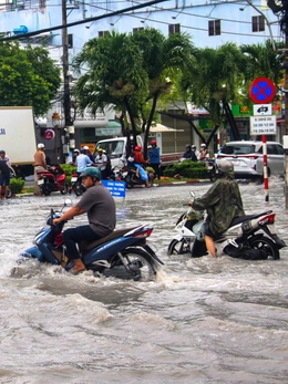 Cà Mau chi hơn 277 tỉ đồng làm 7 cống ngăn mặn, chống triều cường