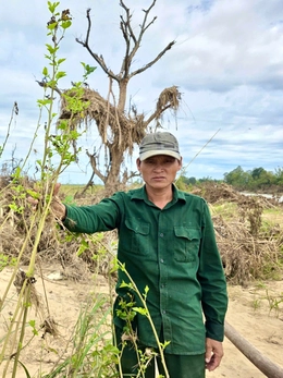 Sớm rót vốn cho nhà vườn vùng lũ