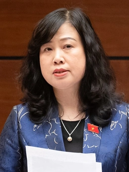 Bộ trưởng Đào Hồng Lan phản hồi về tăng phụ cấp cho nhân viên y tế, miễn viện phí