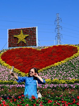 Trái tim làng hoa Sa Đéc được kết bằng 1.500 giỏ hoa thu hút khách chụp ảnh