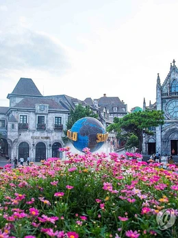 Đà Nẵng vào top điểm đến hàng đầu của du khách Hàn Quốc