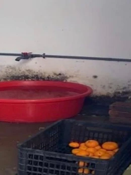 Phát hiện loạt vi phạm vệ sinh an toàn thực phẩm trong cung cấp suất ăn bán trú cho học sinh