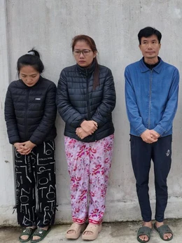 Thu giữ 47.500 bao thuốc lá giả thương hiệu Việt, khởi tố 5 bị can