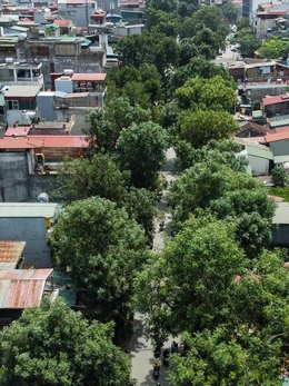 Hà Nội lại lùi tiến độ hoàn thành đường vành đai 1, đoạn Hoàng Cầu - Voi Phục