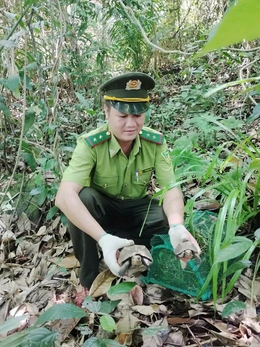 Vườn quốc gia Bạch Mã được công nhận Vườn Di sản ASEAN