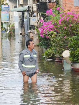 Cảnh báo triều cường và xâm nhập mặn vào giữa tháng 3