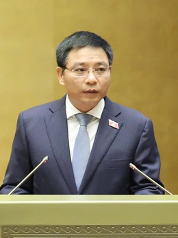 Hải Phòng thành lập khu thương mại tự do, được giao dịch bằng ngoại tệ
