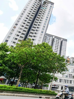 Ban quản trị chung cư không thể là 'tay ngang'