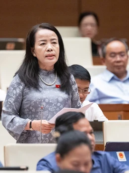 Đại biểu Quốc hội đề nghị giữ quyền chất vấn của đại biểu HĐND với chánh án, viện trưởng