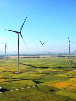 Gỡ vướng cho các dự án năng lượng tái tạo ở Ninh Thuận