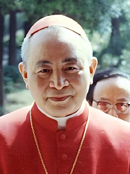 Mật nghị hồng y, bí mật trong nhà nguyện Sistine - Kỳ cuối: Các hồng y Việt Nam đã tham gia mật nghị