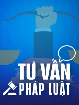 Cô ruột có nghĩa vụ cấp dưỡng cho cháu chưa thành niên, cơ nhỡ hay không?