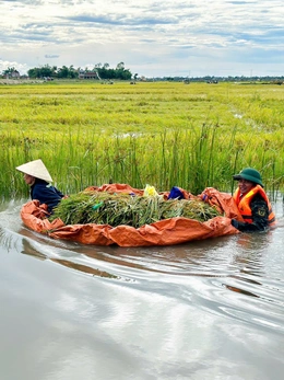 Bộ đội, người dân Huế oằn mình khắc phục mưa lũ