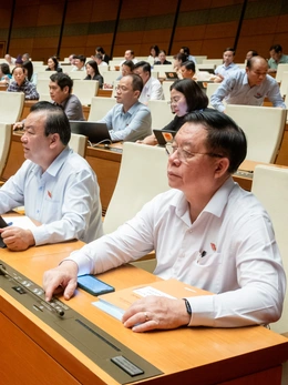 Quốc hội thông qua luật buộc xe điện, vật liệu xây dựng dán nhãn năng lượng