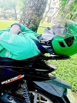 Những giấc ngủ trưa trên hè phố