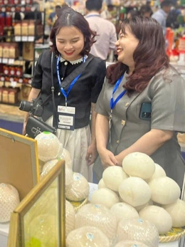 Vì sao Việt Nam chi hàng trăm tỉ đồng nhập khẩu dừa?