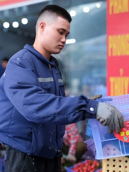 Lương thấp, 73% lao động độc thân ngại cưới, sinh con