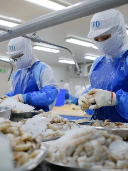 Mức thuế chống bán phá giá tôm Việt Nam vào Mỹ tăng đột biến, doanh nghiệp kêu oan