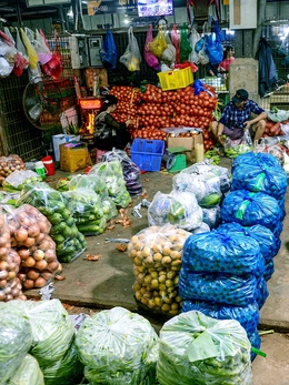 Túi ni lông phải sớm... hết thời