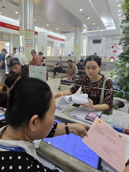 Cấp sổ hồng lần đầu cho người dân, doanh nghiệp ở TP.HCM không quá 30 ngày