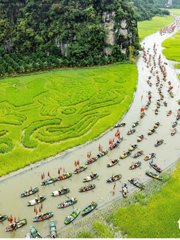 Thông tin nhóm du khách bị mắc kẹt khi tham quan Tam Cốc - Bích Động là không chính xác