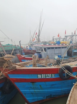 Thanh Hóa cấm biển từ 8h ngày 21-7, hàng nghìn tàu cá đã vào bờ