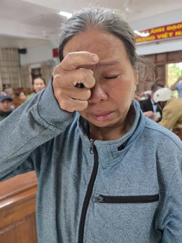 Hành trình từ Bắc vào Trung tiếp sức người dân trồng lại luống rau, mua lại con giống