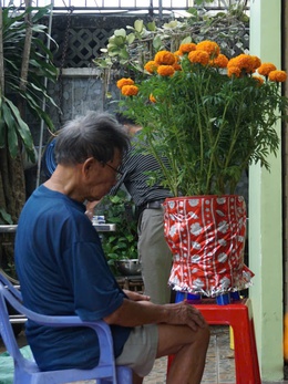 Ba sẽ về theo làn gió xuân