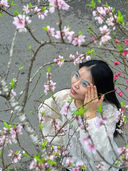 Đào rừng về Hà Nội, người chơi có mặn mà?