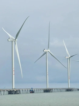 Giao hàng chục ngàn héc ta mặt biển cho hai tập đoàn EVN, PVN khảo sát điện gió