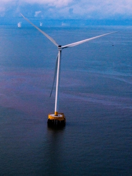 Cà Mau kêu gọi đầu tư 2 dự án điện gió hơn 4.800 tỉ đồng