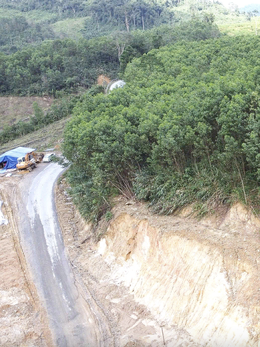 Sau liên tiếp các vụ sạt lở ở miền núi, Đà Nẵng tính chuyển diện tích rừng keo qua rừng gỗ lớn