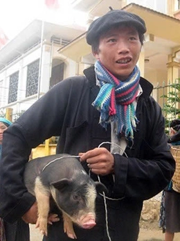 Săn đặc sản ăn chơi ngày Tết - Kỳ 3: Ngày Tết thưởng thức lợn cắp nách, cá sông Đà...