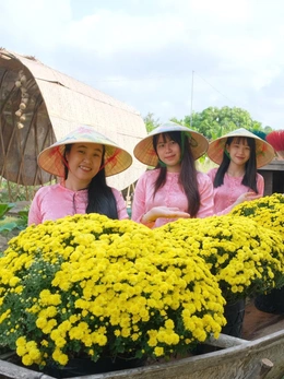 Làng hoa, làng nghề, khu du lịch ở Đồng Tháp vào mùa Tết