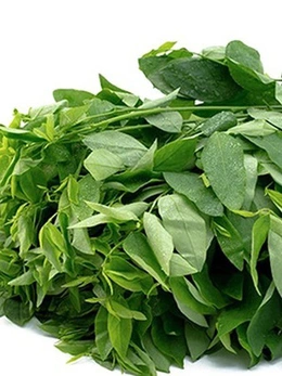 Những lưu ý giúp xương chắc khỏe cho người lớn tuổi