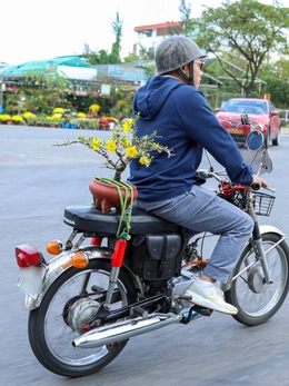 Người dân Đà Nẵng rộn ràng chở mùa xuân về nhà