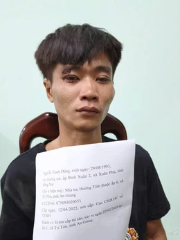 Trộm xe tải chạy được 8km, bị cảnh sát giao thông và người dân vây bắt