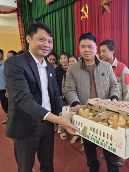Trao 15.000 con gà giống giúp người dân vùng cao xóa nghèo