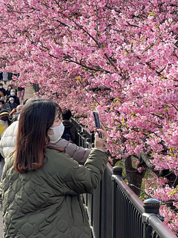 Sắc màu Việt - Nhật: sân chơi sáng tạo cho sinh viên yêu văn hóa