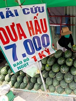 Giá trái cây rớt mạnh, nhiều nơi rao 'giải cứu'