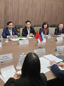 Việt Nam đề xuất hợp tác trồng lúa tại Nga