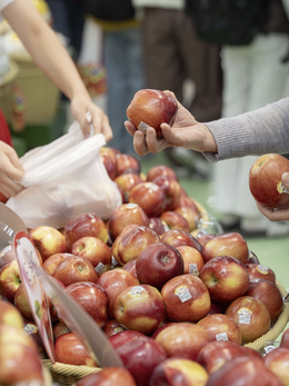 Hội đồng táo Washington: Việt Nam là thị trường xuất khẩu lớn thứ 5 của bang