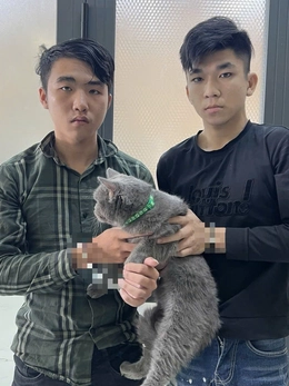 Cảnh sát hình sự bắt 3 người trộm chó bandog và mèo lông xám ở TP.HCM